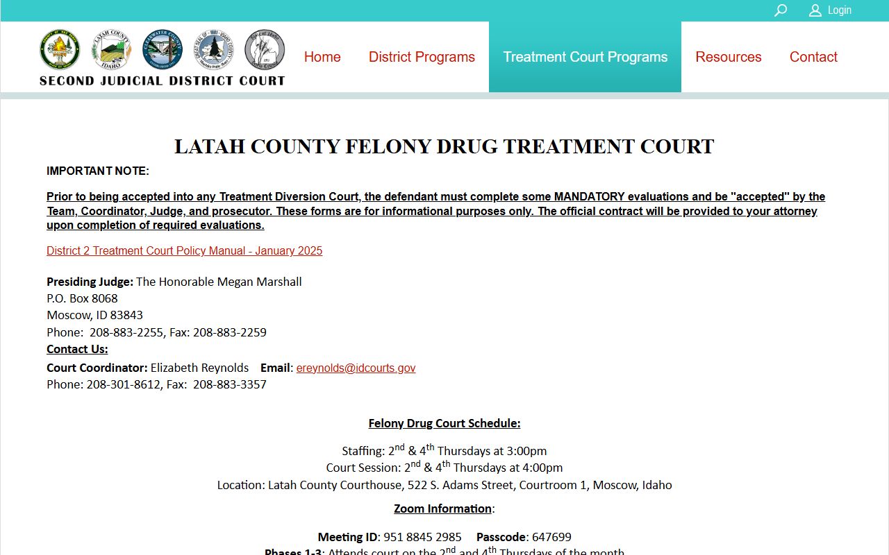 Lewis County District Court Second Judicial District adult felony drug treatment court